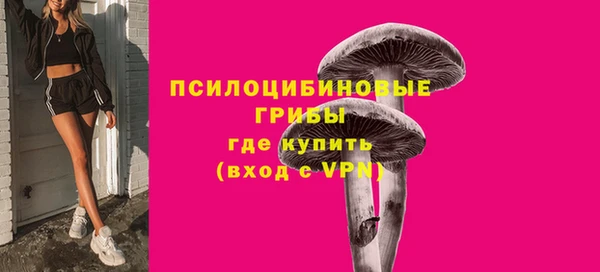 дурь Белокуриха