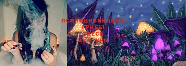 дурь Белокуриха