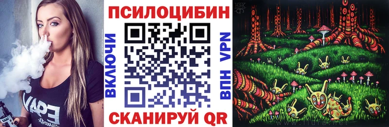 хочу   Венёв  Псилоцибиновые грибы MAGIC MUSHROOMS 